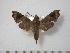  ( - BC-Basq0527)  @13 [ ] Copyright (2010) Unspecified Research Collection of Patrick Basquin