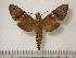  ( - BC-Basq0585)  @14 [ ] Copyright (2010) Unspecified Research Collection of Patrick Basquin