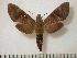  ( - BC-Basq0586)  @14 [ ] Copyright (2010) Unspecified Research Collection of Patrick Basquin