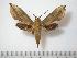  ( - BC-Basq0618)  @14 [ ] Copyright (2010) Unspecified Research Collection of Patrick Basquin