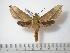  ( - BC-Basq0619)  @14 [ ] Copyright (2010) Unspecified Research Collection of Patrick Basquin