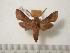  ( - BC-Basq0641)  @13 [ ] Copyright (2010) Unspecified Research Collection of Patrick Basquin