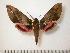  ( - BC-Basq0647)  @13 [ ] Copyright (2010) Unspecified Research Collection of Patrick Basquin