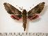  ( - BC-Basq0649)  @13 [ ] Copyright (2010) Unspecified Research Collection of Patrick Basquin