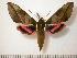  ( - BC-Basq0651)  @13 [ ] Copyright (2010) Unspecified Research Collection of Patrick Basquin
