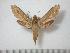  ( - BC-Basq0691)  @13 [ ] Copyright (2010) Unspecified Research Collection of Patrick Basquin