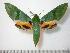  ( - BC-Basq0765)  @14 [ ] Copyright (2010) Unspecified Research Collection of Patrick Basquin