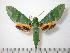  ( - BC-Basq0766)  @14 [ ] Copyright (2010) Unspecified Research Collection of Patrick Basquin