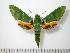  ( - BC-Basq0767)  @14 [ ] Copyright (2010) Unspecified Research Collection of Patrick Basquin