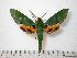  ( - BC-Basq0768)  @14 [ ] Copyright (2010) Unspecified Research Collection of Patrick Basquin