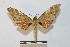  ( - BC-Basq 2714)  @13 [ ] Copyright (2010) Unspecified Research Collection of Patrick Basquin