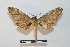  ( - BC-Basq 2715)  @13 [ ] Copyright (2010) Unspecified Research Collection of Patrick Basquin