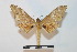  ( - BC-Basq 2718)  @13 [ ] Copyright (2010) Unspecified Research Collection of Patrick Basquin