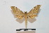  ( - BC-Basq 2719)  @11 [ ] Copyright (2010) Unspecified Research Collection of Patrick Basquin