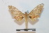  ( - BC-Basq 2720)  @12 [ ] Copyright (2010) Unspecified Research Collection of Patrick Basquin