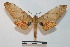  ( - BC-Basq 2723)  @14 [ ] Copyright (2010) Unspecified Research Collection of Patrick Basquin