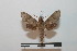  ( - BC-Basq 2743)  @12 [ ] Copyright (2010) Unspecified Research Collection of Patrick Basquin