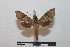  ( - BC-Basq 2744)  @13 [ ] Copyright (2010) Unspecified Research Collection of Patrick Basquin