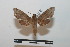  ( - BC-Basq 2745)  @12 [ ] Copyright (2010) Unspecified Research Collection of Patrick Basquin