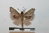 ( - BC-Basq 2748)  @12 [ ] Copyright (2010) Unspecified Research Collection of Patrick Basquin