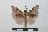  ( - BC-Basq 2750)  @13 [ ] Copyright (2010) Unspecified Research Collection of Patrick Basquin