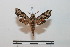  ( - BC-Basq 2756)  @11 [ ] Copyright (2010) Unspecified Research Collection of Patrick Basquin