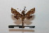  ( - BC-Basq 2759)  @13 [ ] Copyright (2010) Unspecified Research Collection of Patrick Basquin