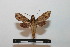  ( - BC-Basq 2760)  @11 [ ] Copyright (2010) Unspecified Research Collection of Patrick Basquin