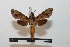  ( - BC-Basq 2762)  @13 [ ] Copyright (2010) Unspecified Research Collection of Patrick Basquin