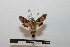  ( - BC-Basq 2765)  @12 [ ] Copyright (2010) Unspecified Research Collection of Patrick Basquin