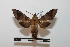  ( - BC-Basq 2773)  @12 [ ] Copyright (2010) Unspecified Research Collection of Patrick Basquin