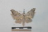  ( - BC-Basq 2789)  @14 [ ] Copyright (2010) Unspecified Research Collection of Patrick Basquin