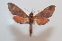  ( - BC-Basq 2567)  @11 [ ] Copyright (2010) Unspecified Research Collection of Patrick Basquin