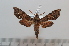  ( - BC-Basq 2629)  @14 [ ] Copyright (2010) Unspecified Research Collection of Patrick Basquin