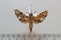  ( - BC-Basq 2640)  @13 [ ] Copyright (2010) Unspecified Research Collection of Patrick Basquin