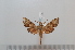  ( - BC-Basq 2654)  @13 [ ] Copyright (2010) Unspecified Research Collection of Patrick Basquin