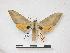  ( - PD-BC 019)  @14 [ ] Copyright (2010) Unspecified Research Collection of Philippe Darge