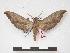  ( - PD-BC 108)  @14 [ ] Copyright (2010) Unspecified Research Collection of Philippe Darge