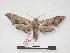  ( - PD-BC 240)  @14 [ ] Copyright (2010) Unspecified Research Collection of Philippe Darge