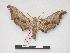  ( - PD-BC 241)  @14 [ ] Copyright (2010) Unspecified Research Collection of Philippe Darge