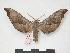  ( - PD-BC 252)  @14 [ ] Copyright (2010) Unspecified Research Collection of Philippe Darge
