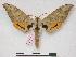  ( - PD-BC 278)  @14 [ ] Copyright (2010) Unspecified Research Collection of Philippe Darge