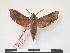  ( - PD-BC 288)  @14 [ ] Copyright (2010) Unspecified Research Collection of Philippe Darge