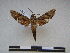  ( - PD-BC 2270)  @12 [ ] Copyright (2010) Unspecified Research Collection of Philippe Darge