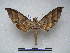  ( - PD-BC 2276)  @12 [ ] Copyright (2010) Unspecified Research Collection of Philippe Darge