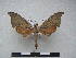  ( - PD-BC 2277)  @12 [ ] Copyright (2010) Unspecified Research Collection of Philippe Darge