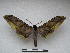  ( - PD-BC 2309)  @11 [ ] Copyright (2010) Unspecified Research Collection of Philippe Darge