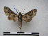  ( - PD-BC 2319)  @13 [ ] Copyright (2010) Unspecified Research Collection of Philippe Darge