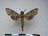  ( - PD-BC 2343)  @12 [ ] Copyright (2010) Unspecified Research Collection of Philippe Darge