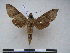 ( - PD-BC 2344)  @13 [ ] Copyright (2010) Unspecified Research Collection of Philippe Darge